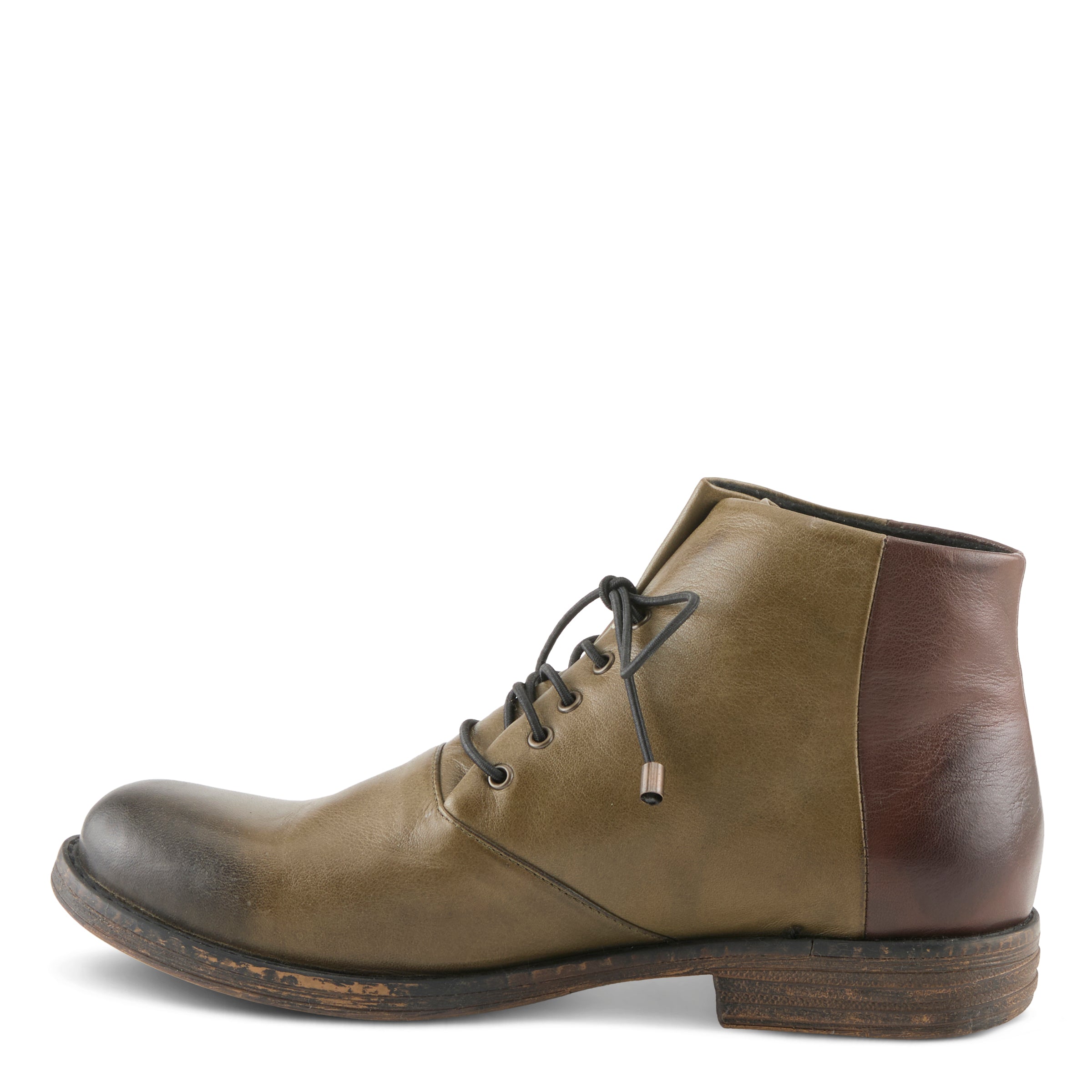 OLIVE MULTI