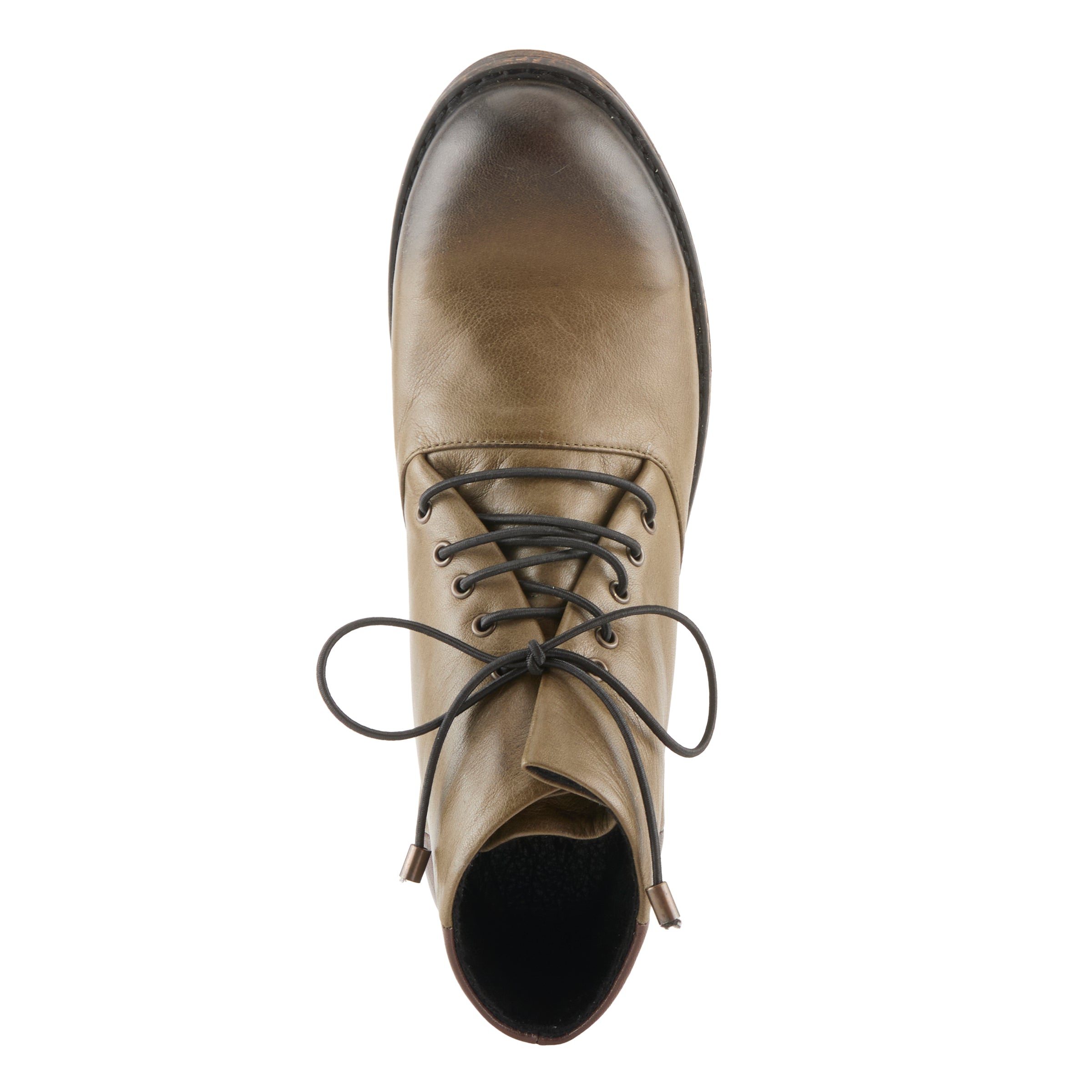 OLIVE MULTI