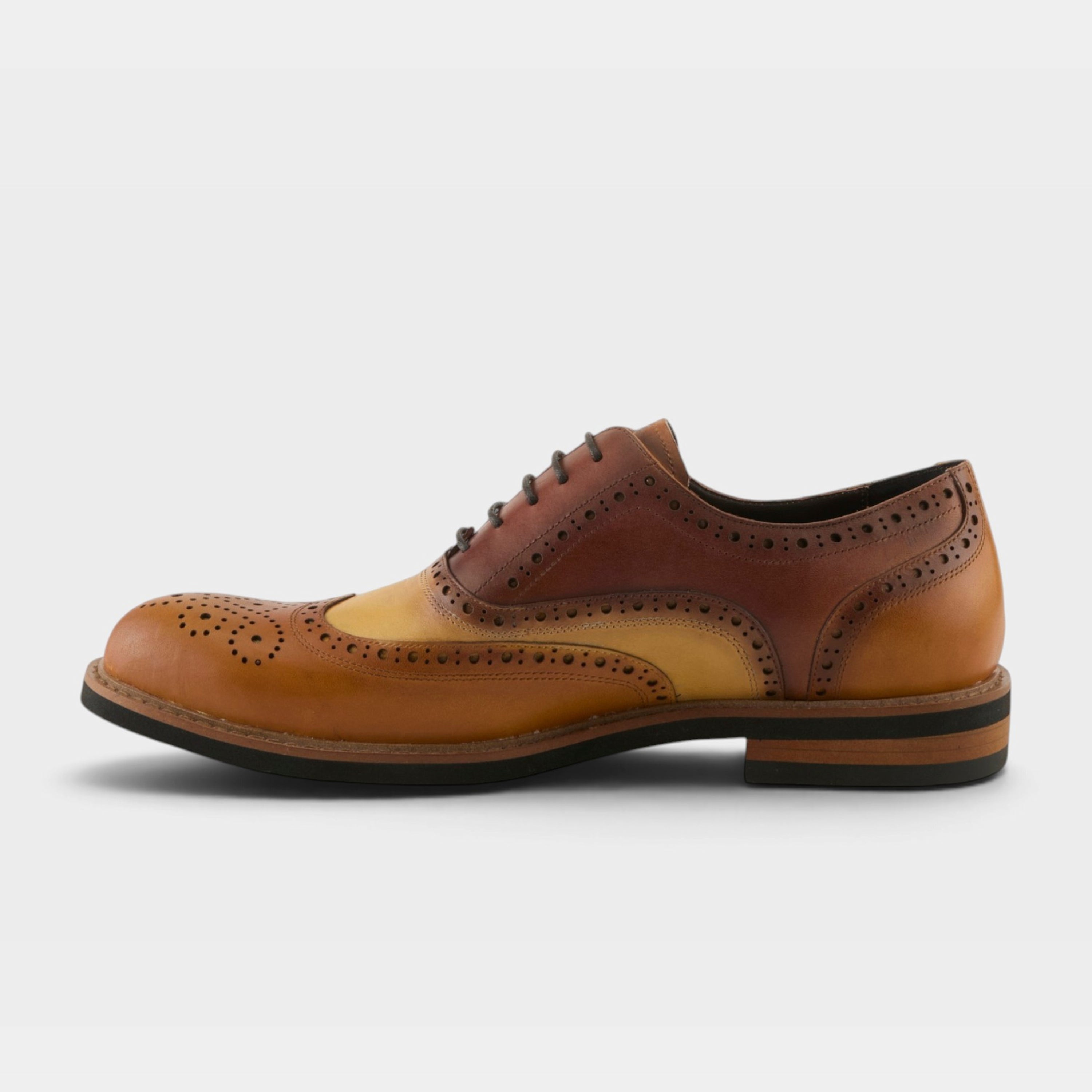 L'Artiste Men Niko Camel Multi Oxford Shoe