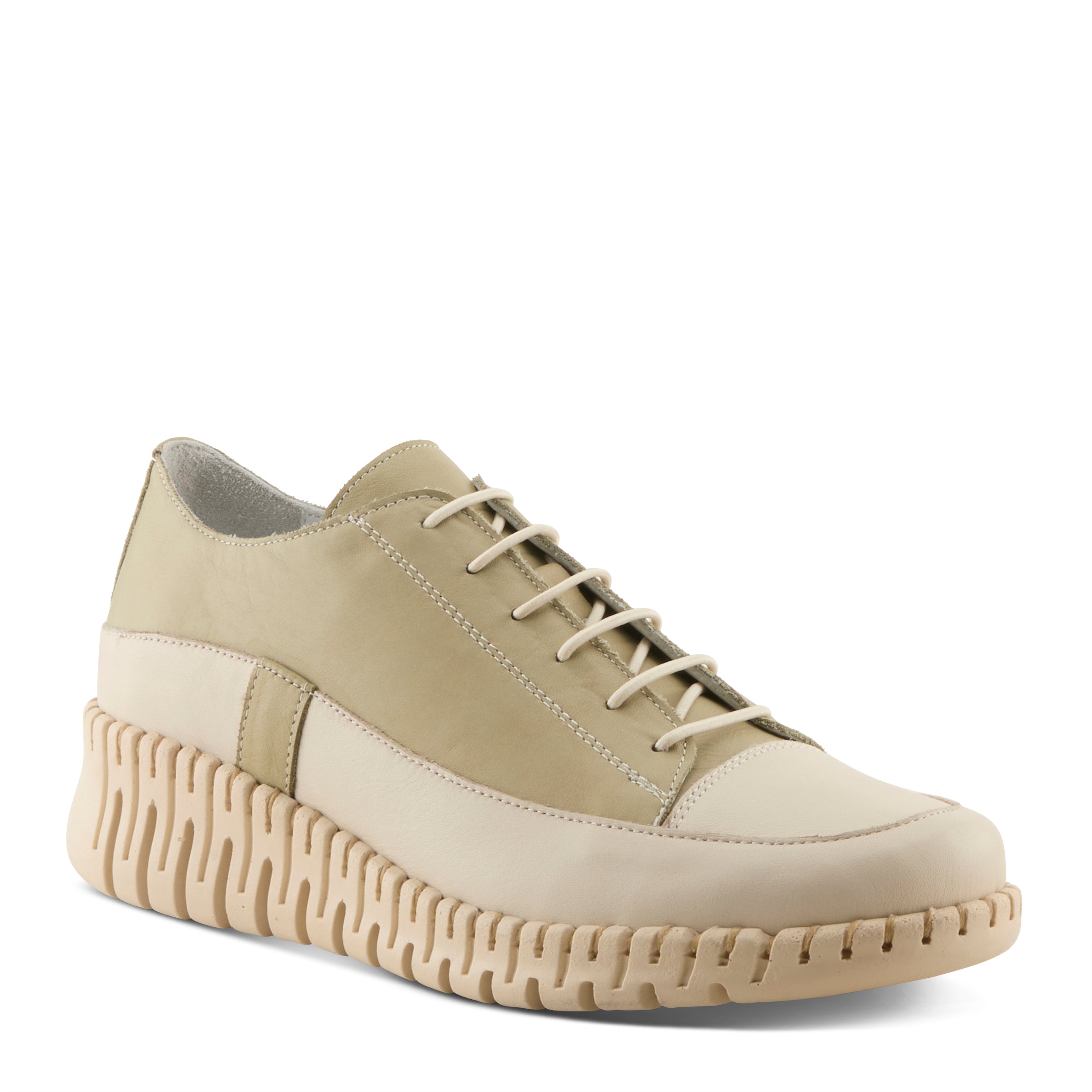 OLIVE MULTI