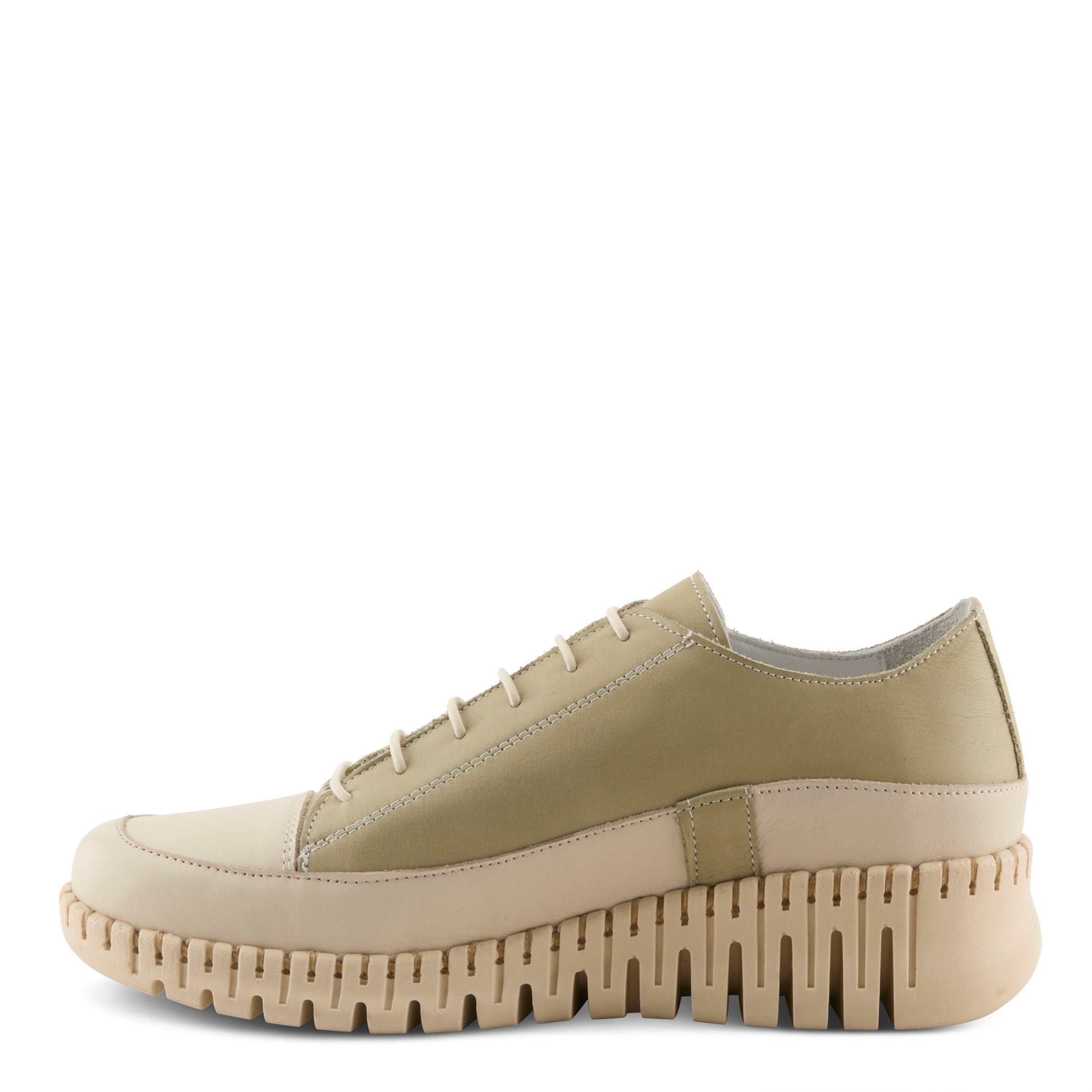 OLIVE MULTI