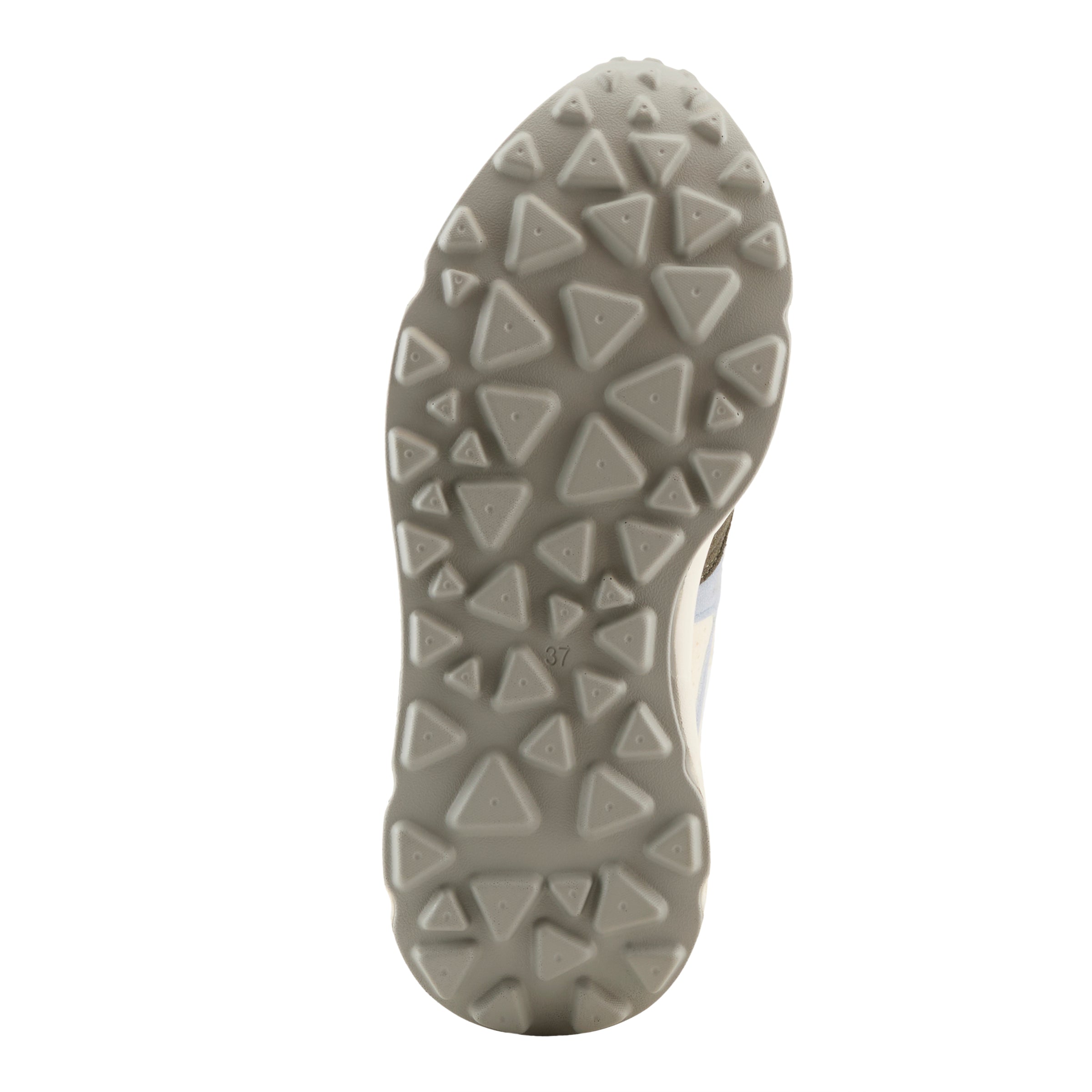 BONE MULTI