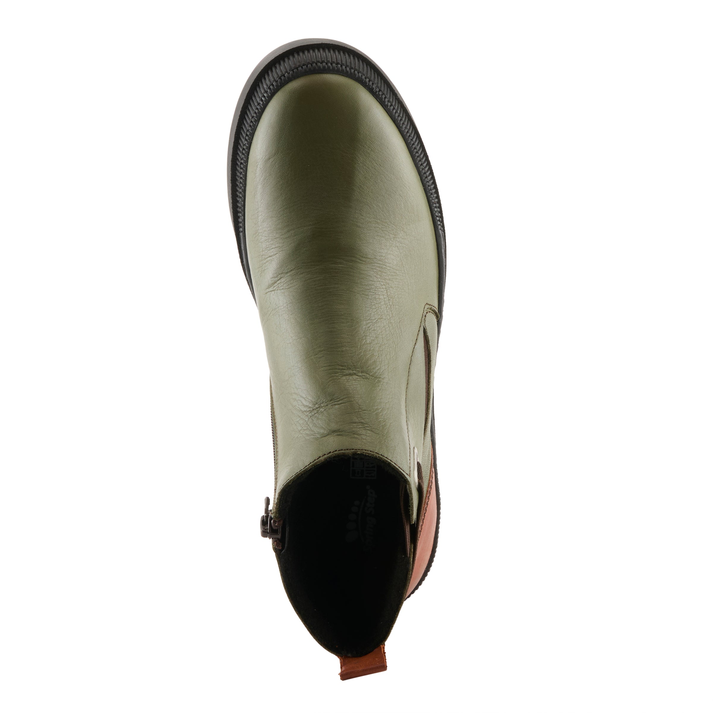 OLIVE MULTI