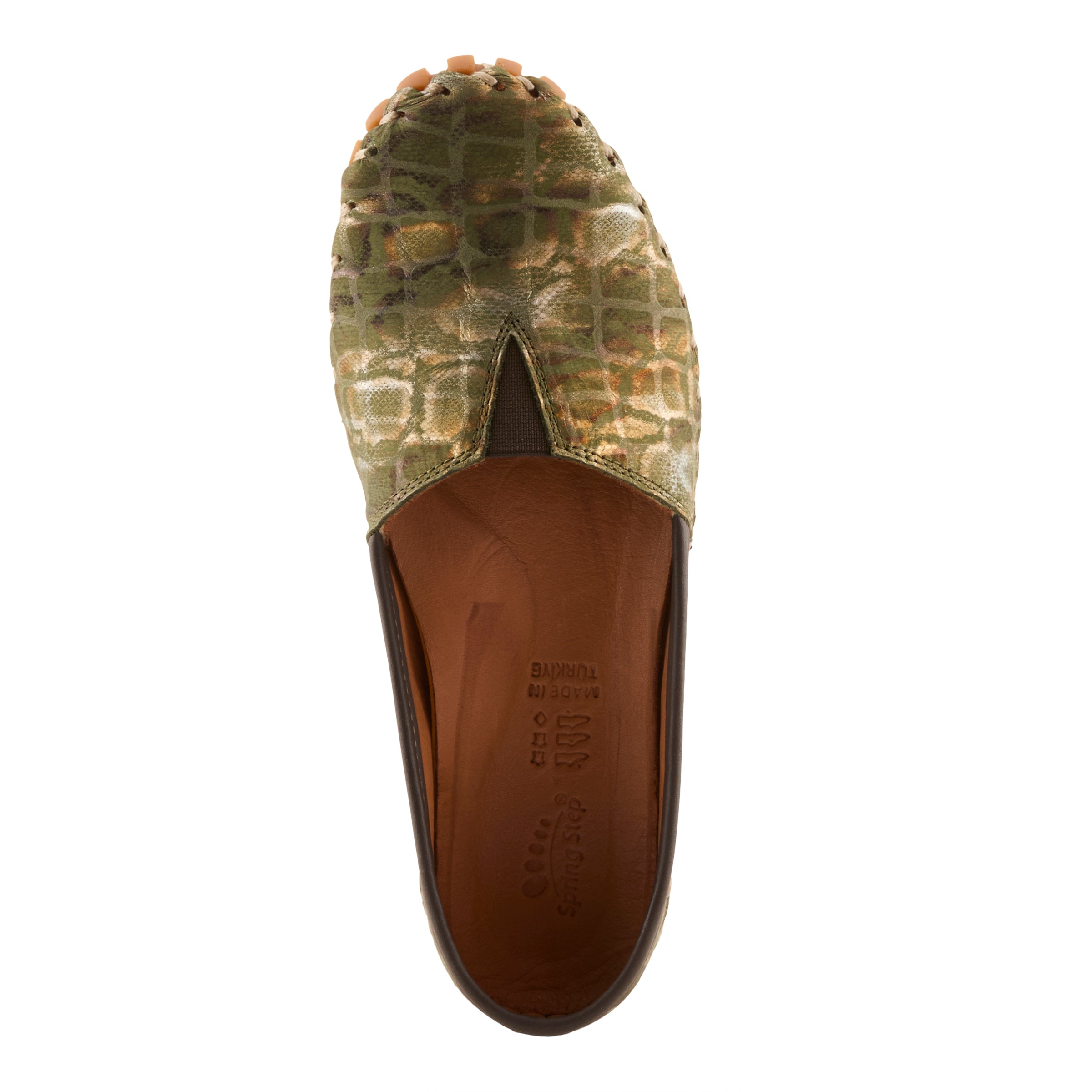 OLIVE MULTI