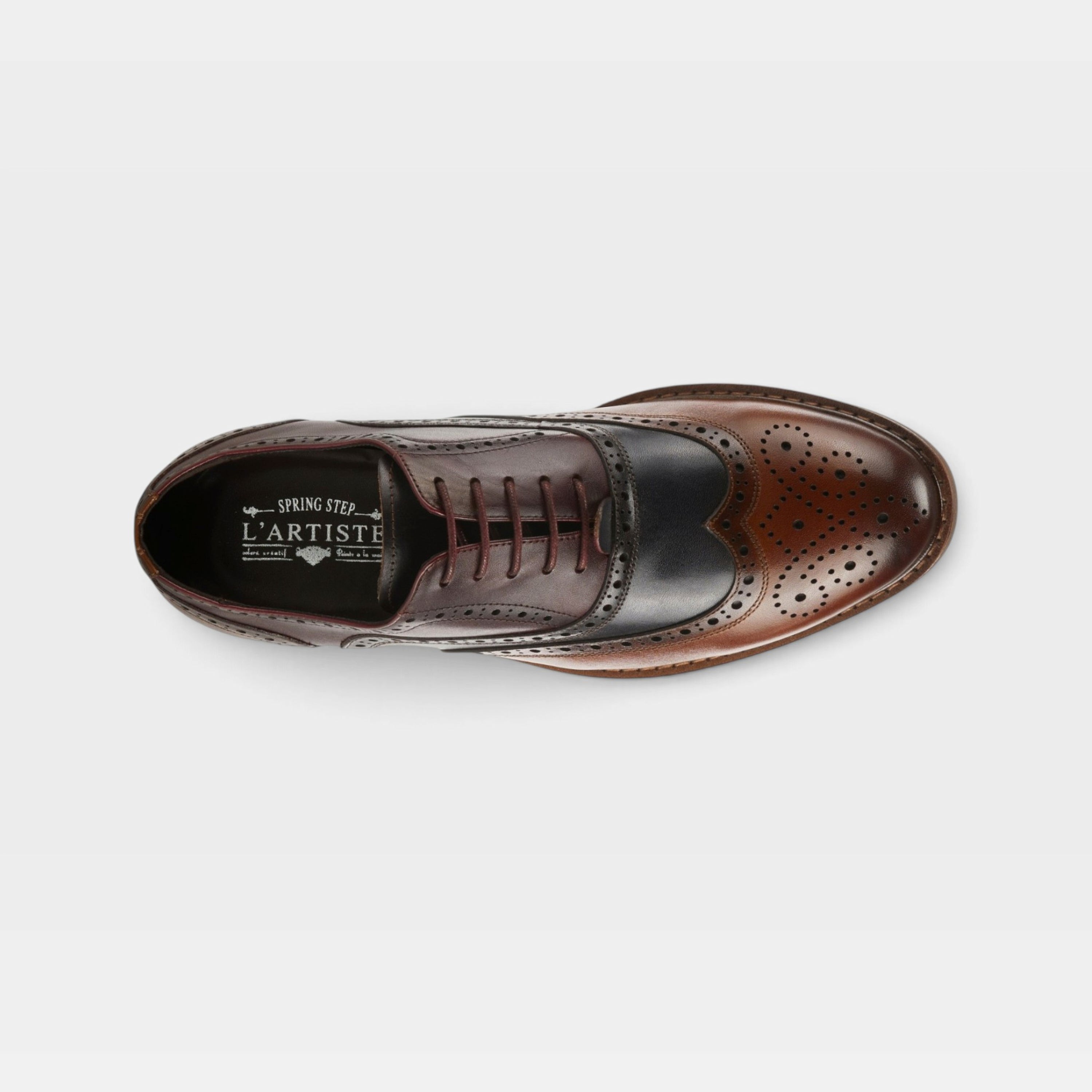 L'Artiste Men Niko Bordeaux Oxford Shoe