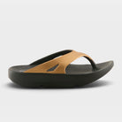 Flexus Osmar Bronze Multi Sandal