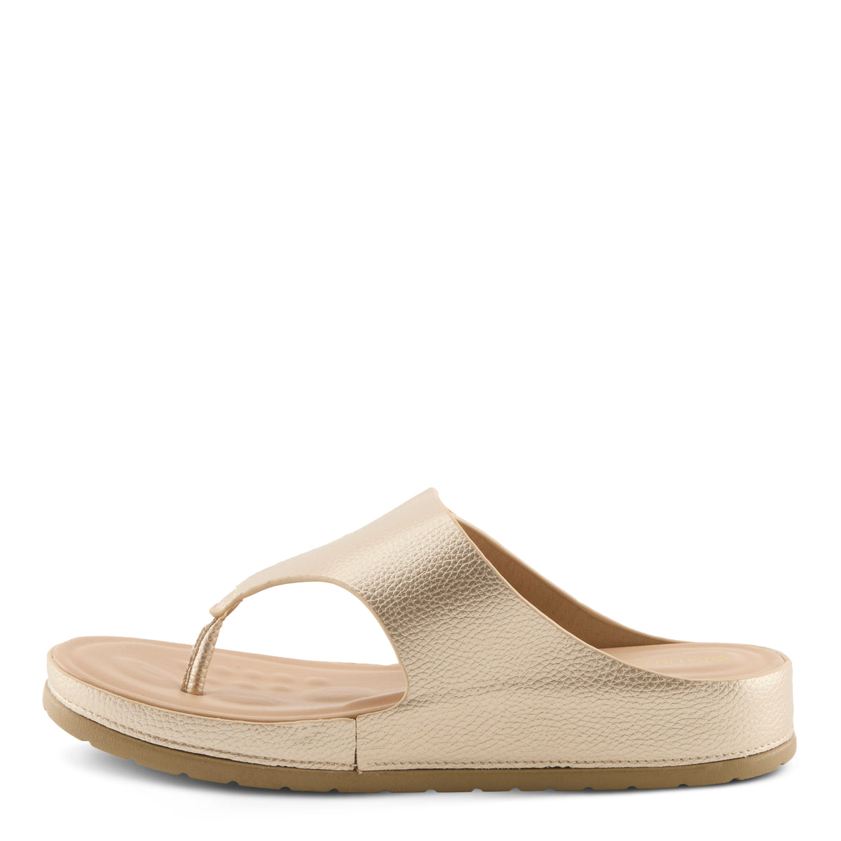 Patrizia PATRIZIA ROZETA SANDALS sandal in black with stylish fashion design