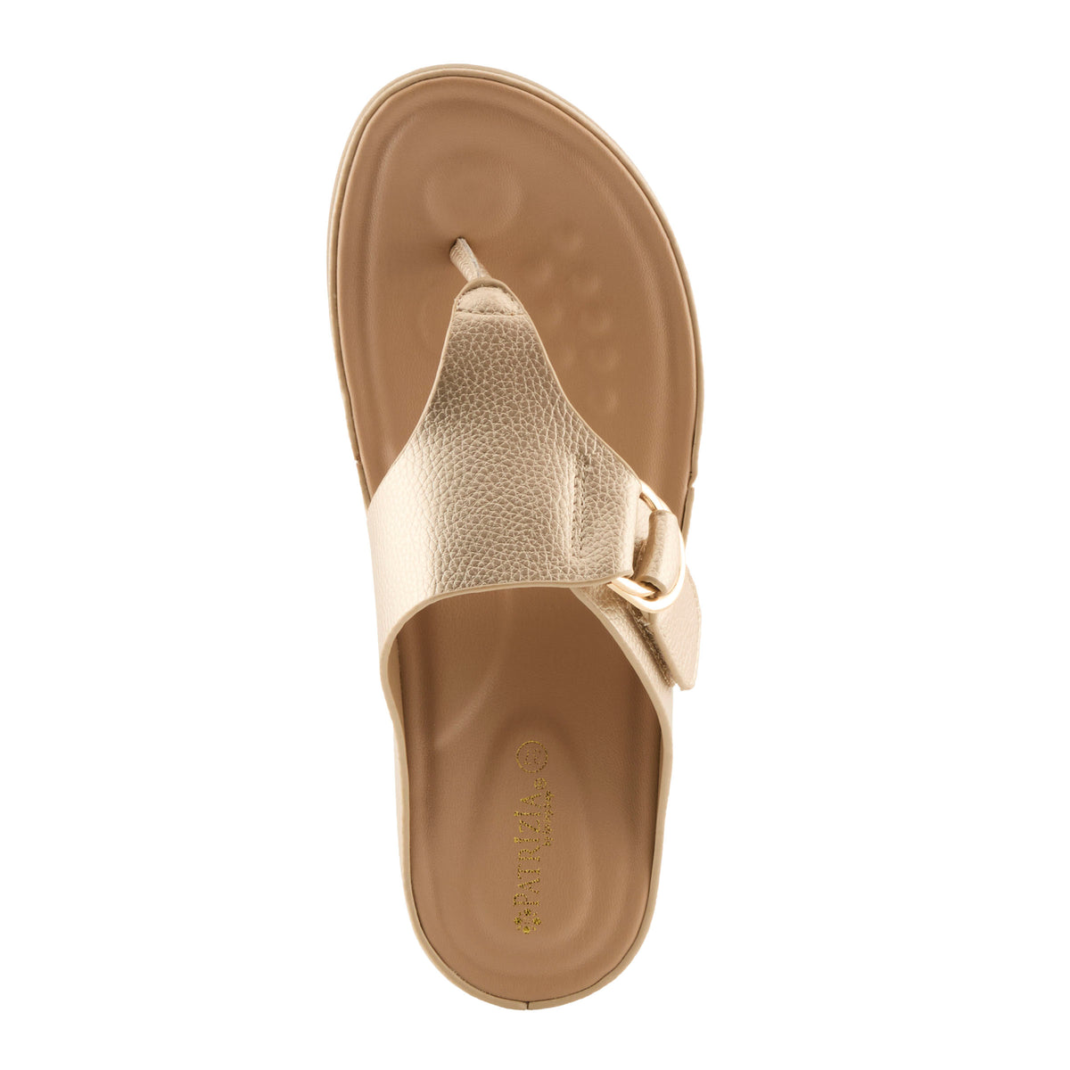 Patrizia PATRIZIA ROZETA SANDALS sandal in black with stylish fashion design