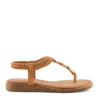 TAN