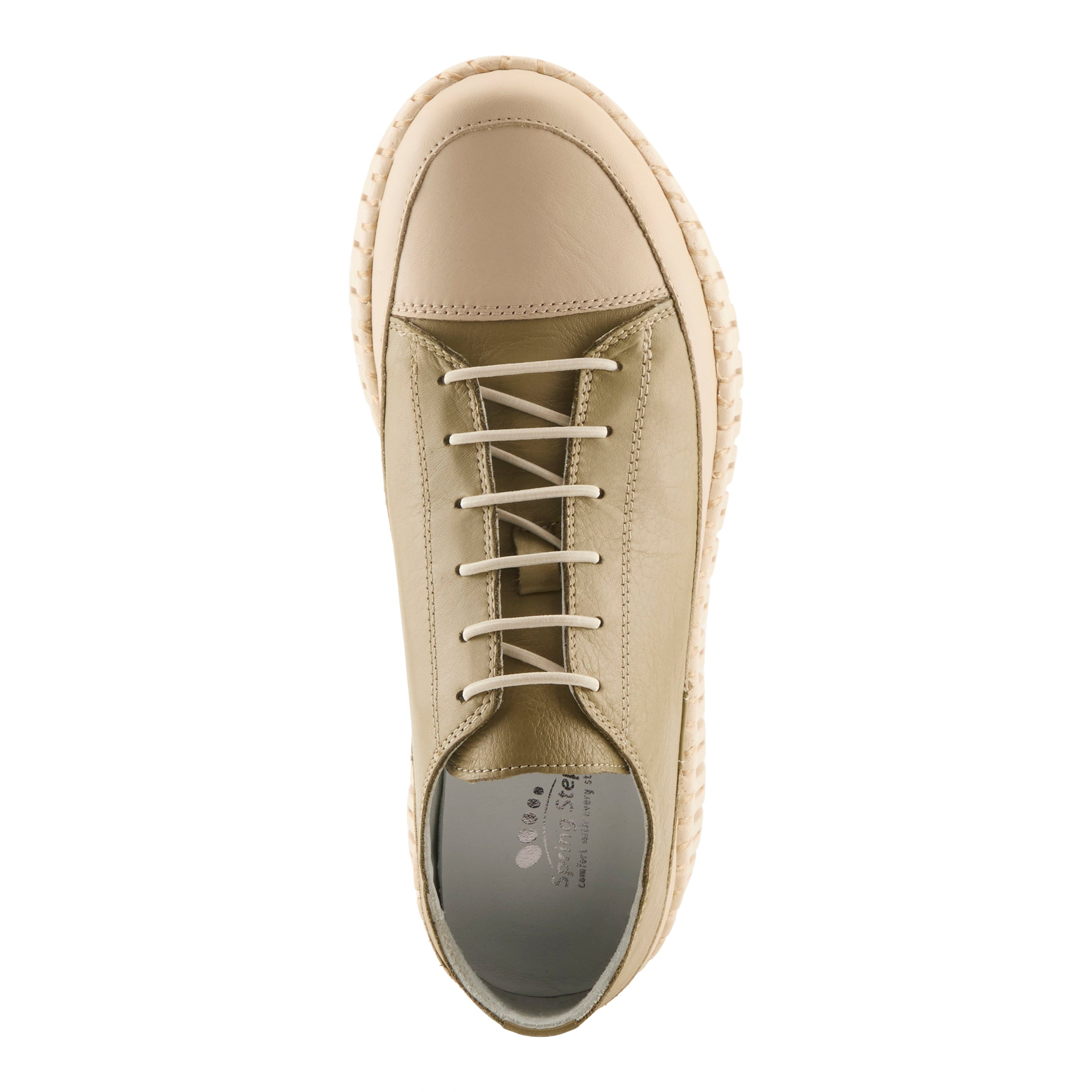 OLIVE MULTI