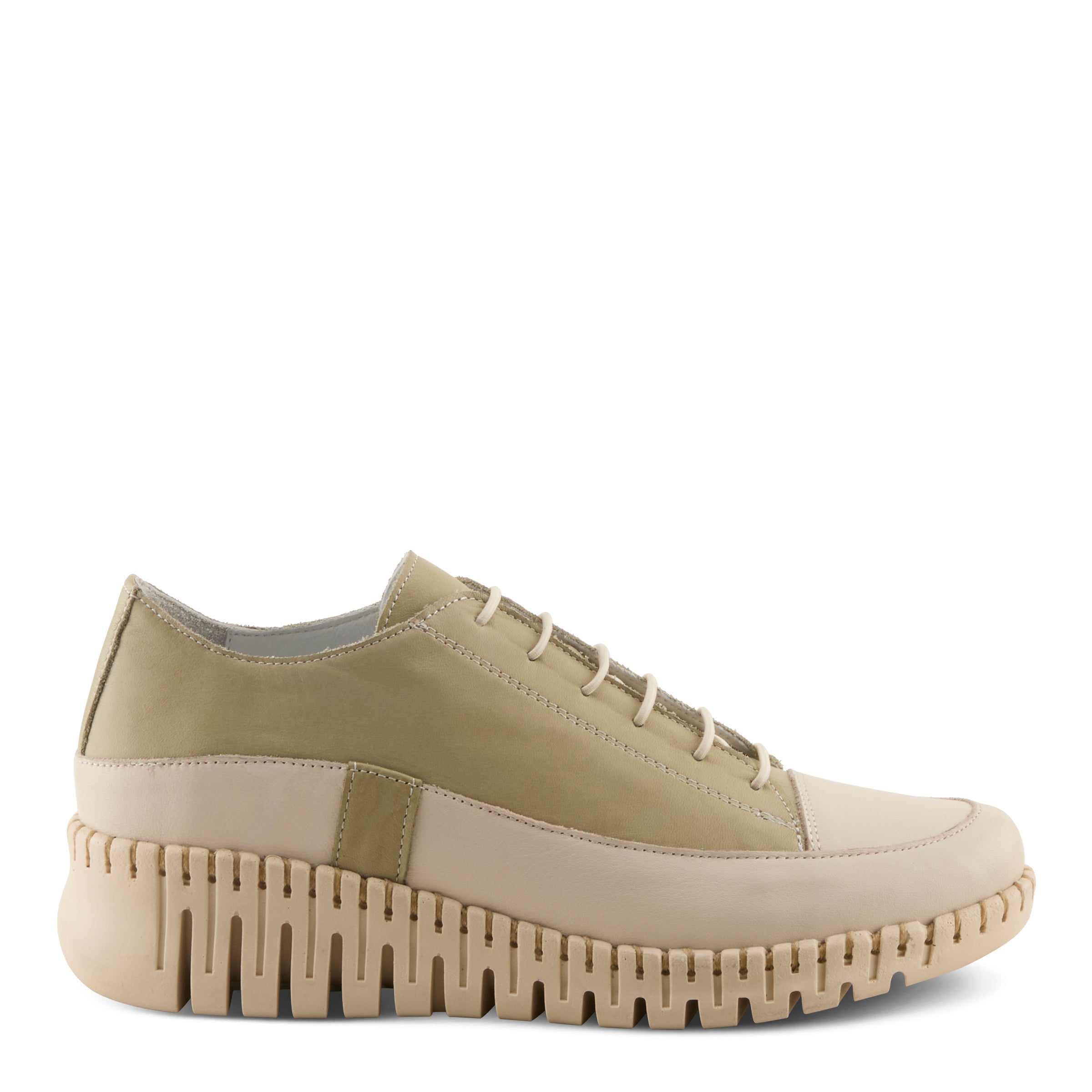 OLIVE MULTI