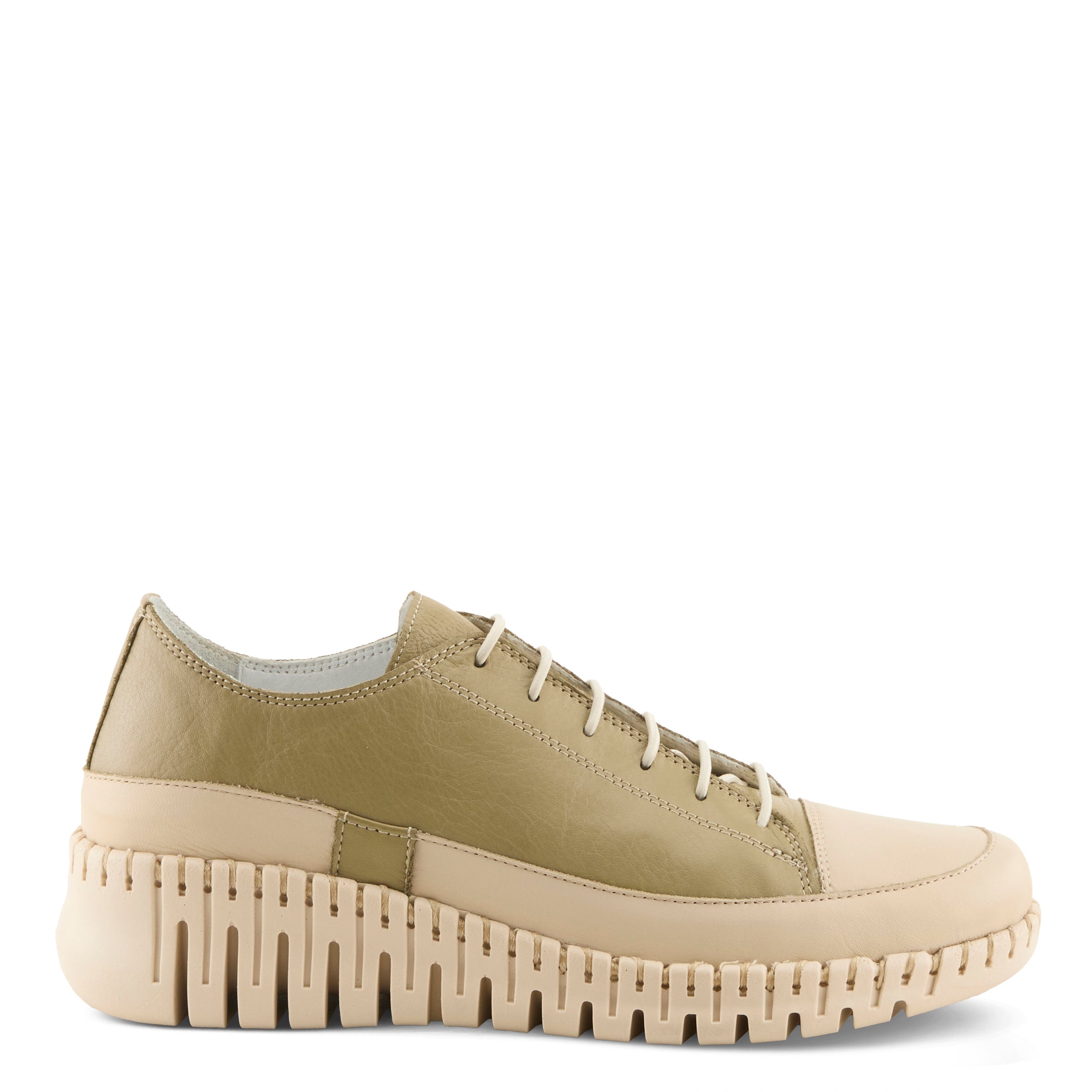 OLIVE MULTI