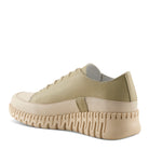 OLIVE MULTI