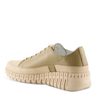 OLIVE MULTI