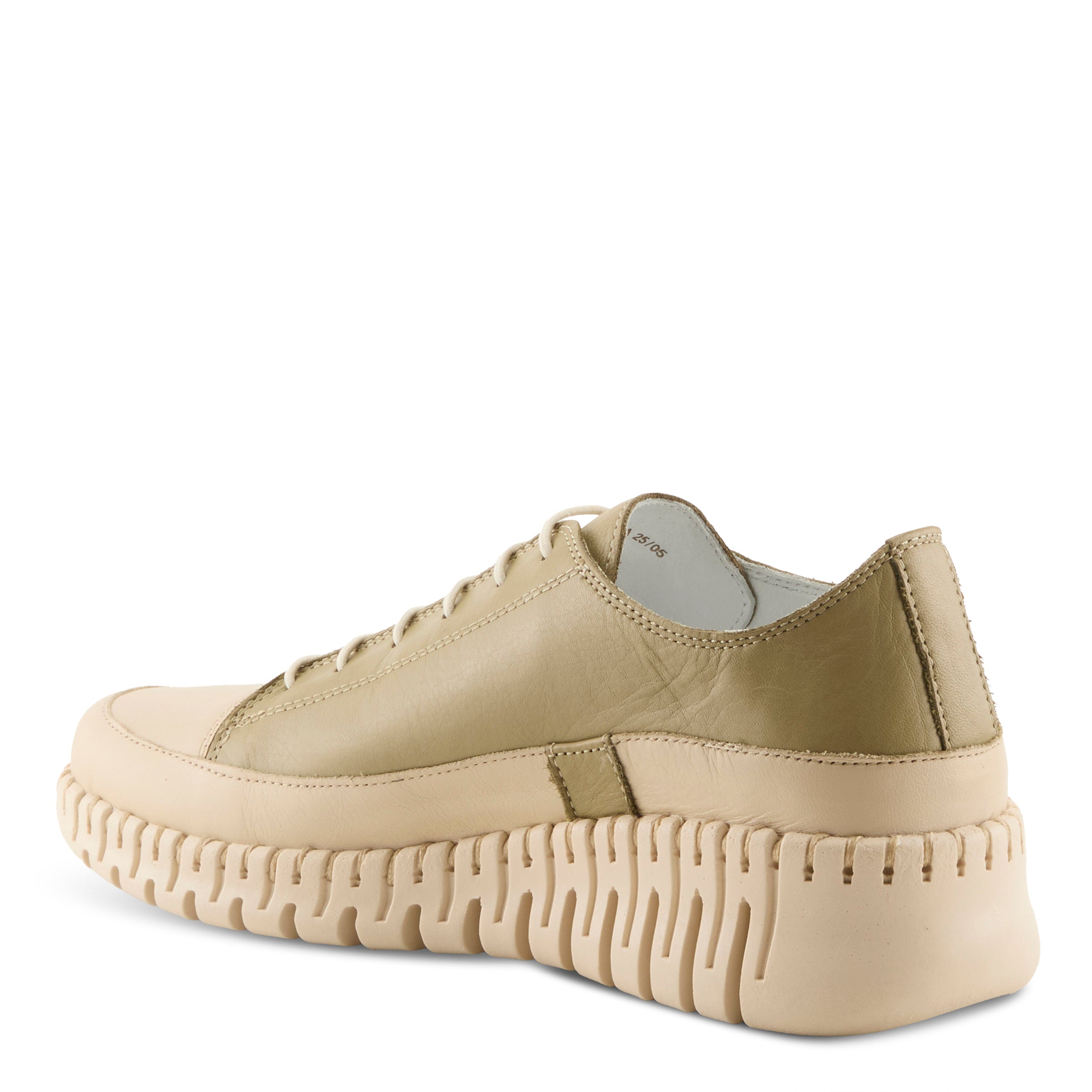 OLIVE MULTI