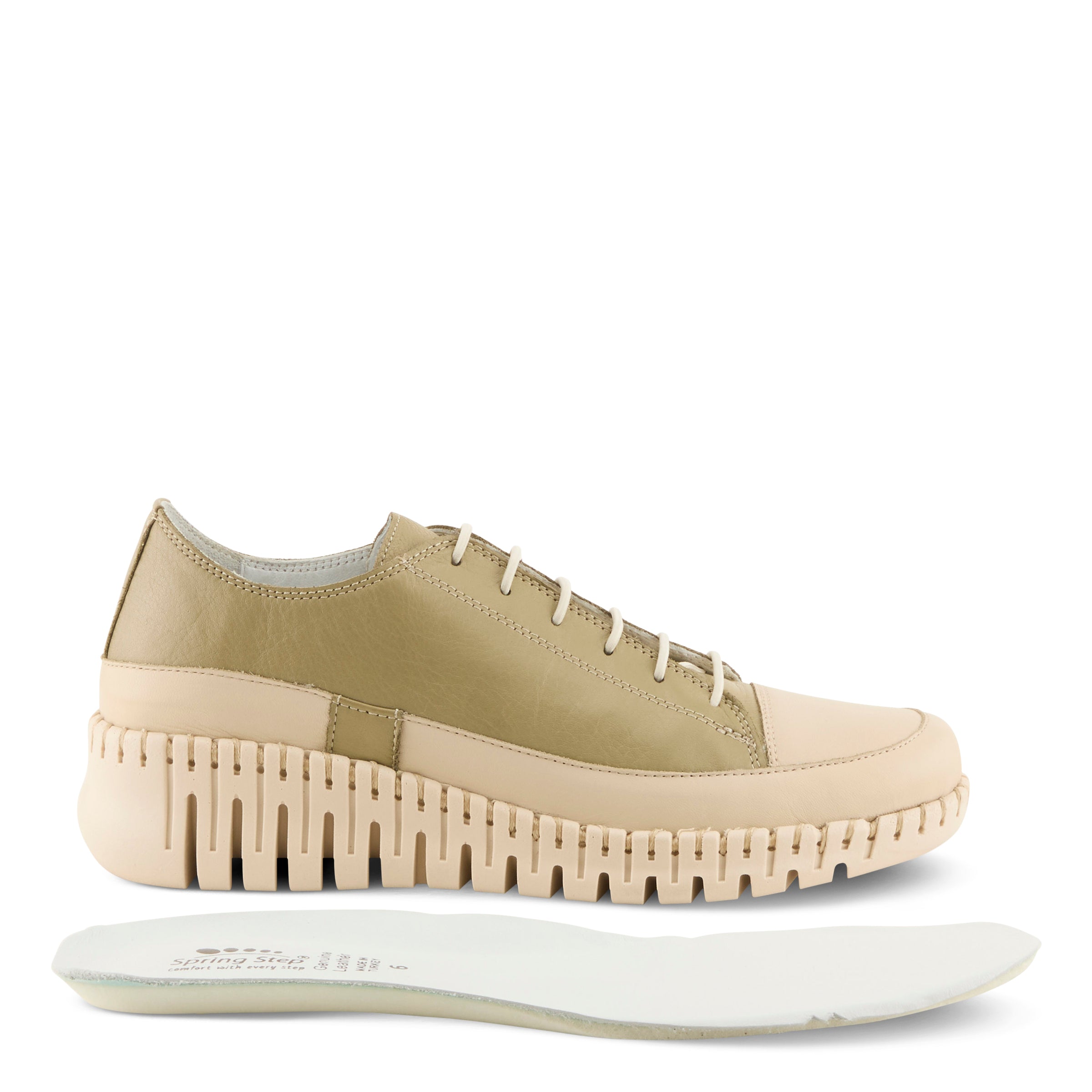 OLIVE MULTI