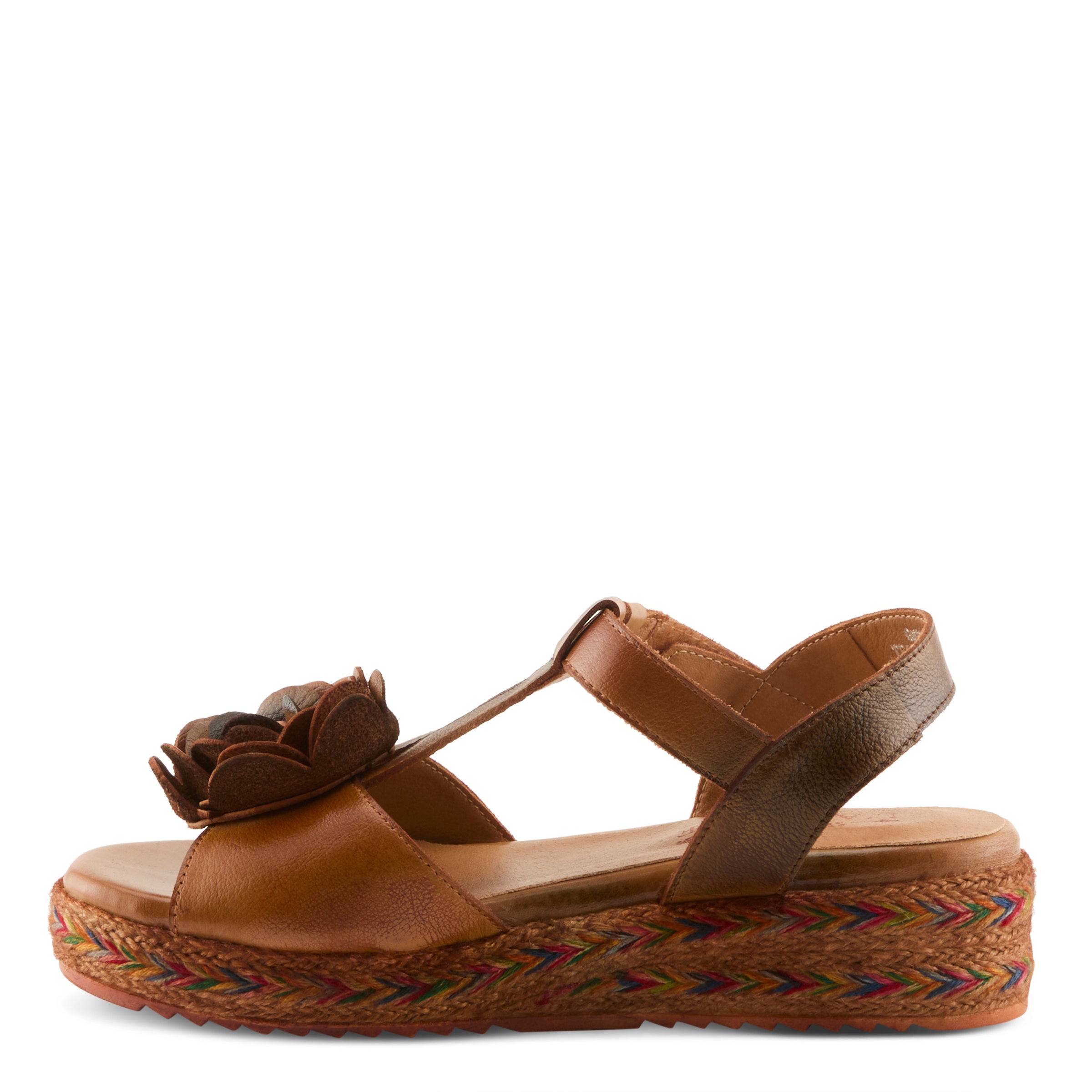 CAMEL MULTI 