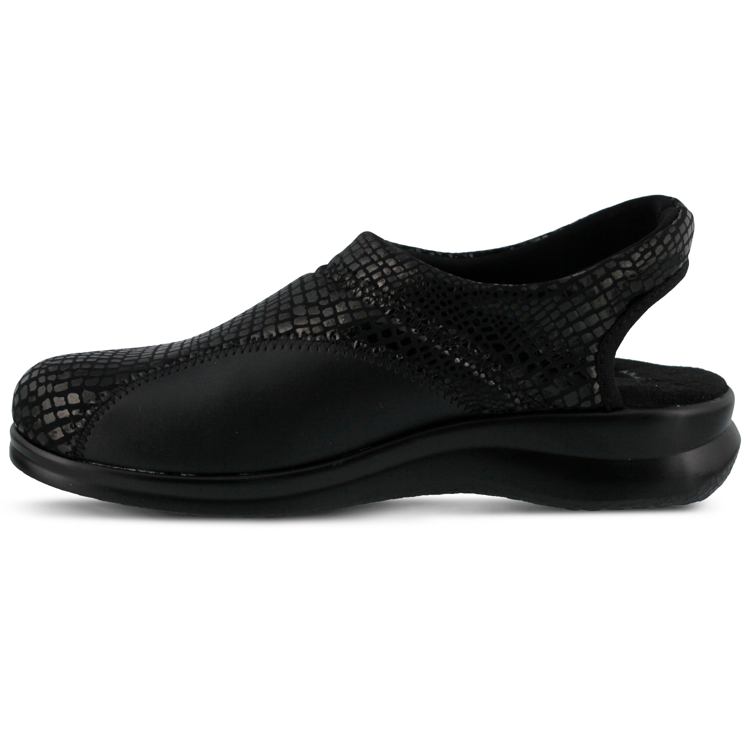 BLACK PYTHON