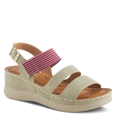 OLIVE MULTI