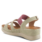 OLIVE MULTI